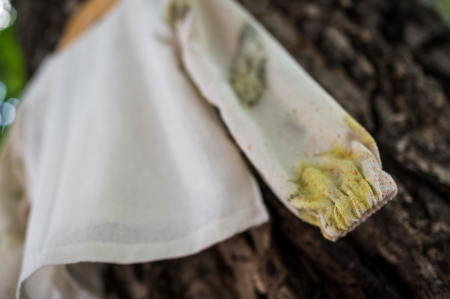 Cămașă din borangic cu buzunar frontal și mâneci imprimate cu plante-ecoprint, pentru bebeluși, M86 [6]