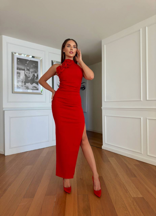 Rochie lunga Rosie cu trandafiri Euphory NepaGvf [2]