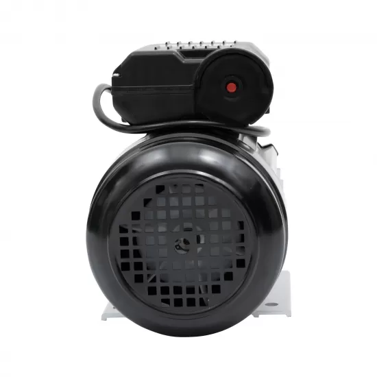 Motor electric DDT monofazat,, 2200 W, 3000 rpm, 2 condensatori, corp aluminiu [3]