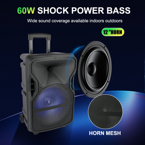 Boxa difuzor Bluetooth Karaoke Microfon cu iluminare LED RGB Difuzor cu bass mare Funcționare cu baterie Radio pe acumulator [2]