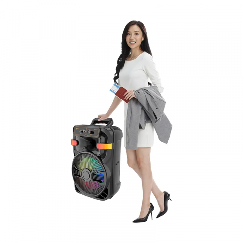 Divertisment - Boxa portabila karaoke ZQS10102, 2 microfoane, 90W PMPO, LED RGB