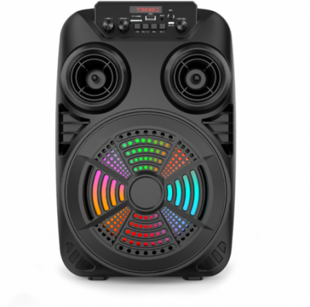 Boxa portabila ZQS 8107S 60W P.M.P.O. [1]