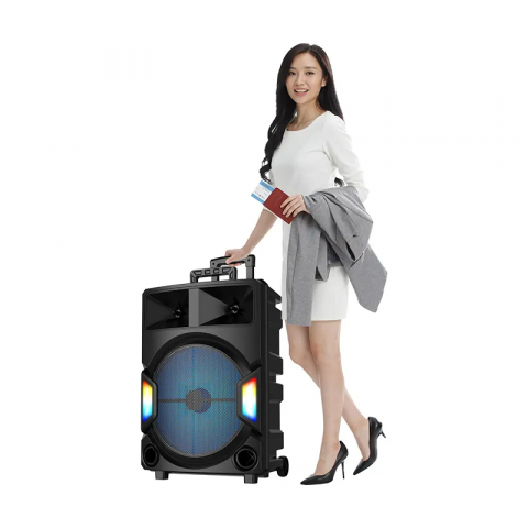 TV, Audio-Video & Foto - Boxa wireless cu Bluetooth 5.0, slot pentru card SD, port USB, conexiune jack 3.5 și radio.