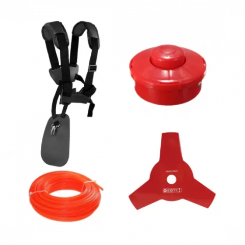 MOTOCOASA PE BENZINA Germany ENGINE POWER, 8.5CP, 10000RPM [2]