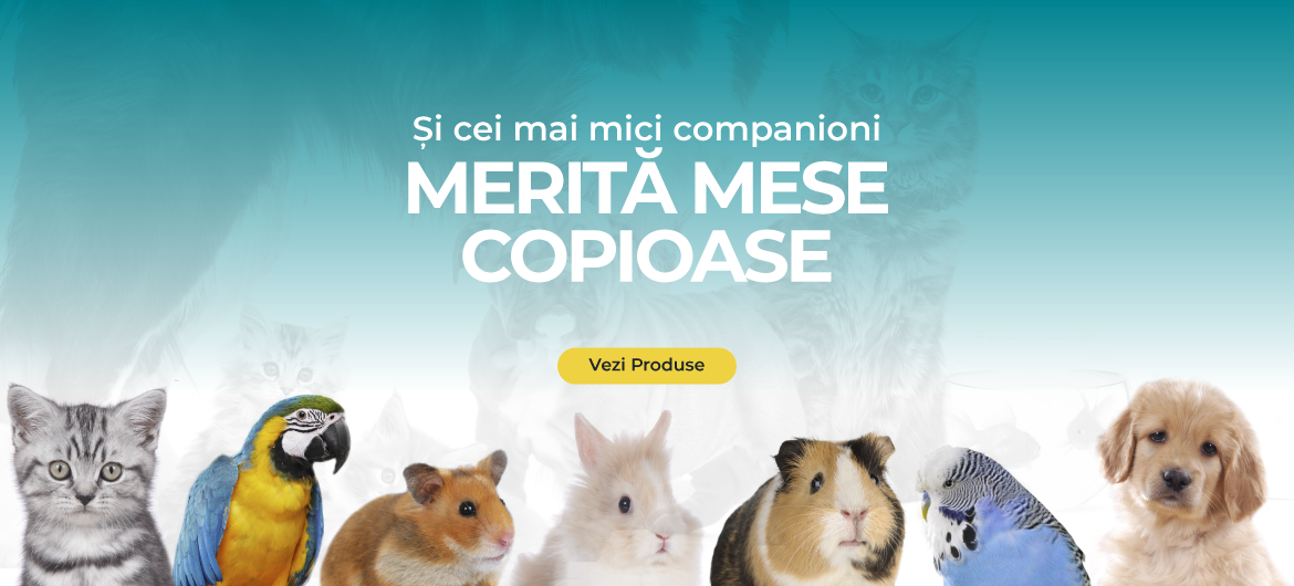 lamihaiacasa-animale-hrana-calitate
