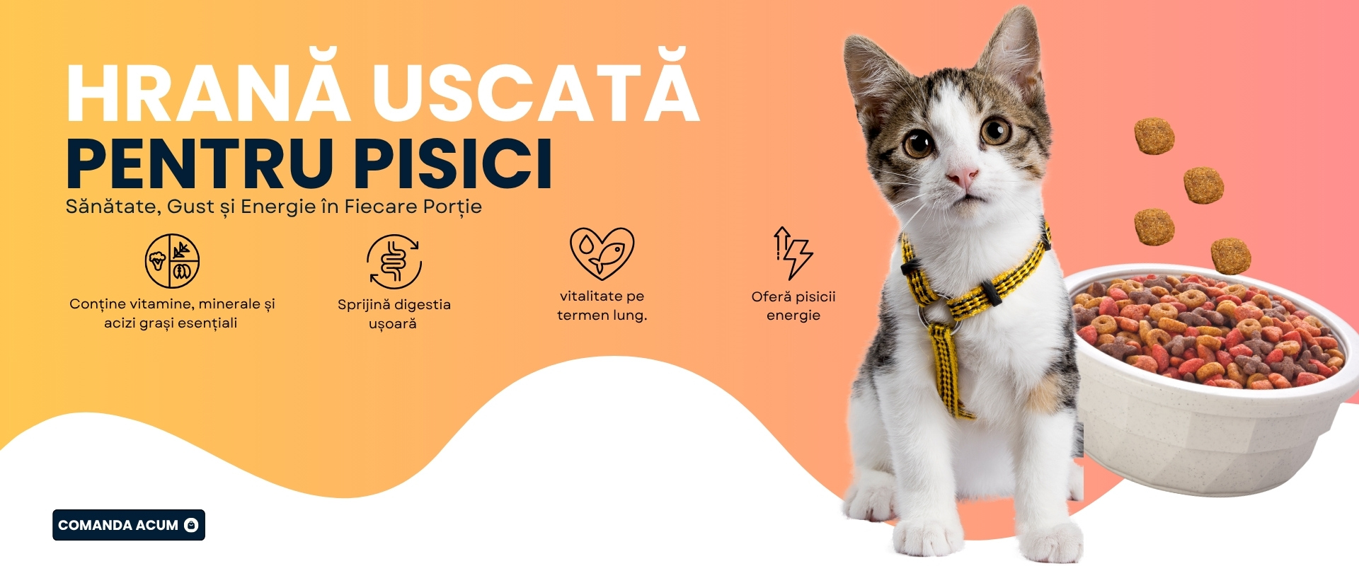 Hrana uscata pentru pisici