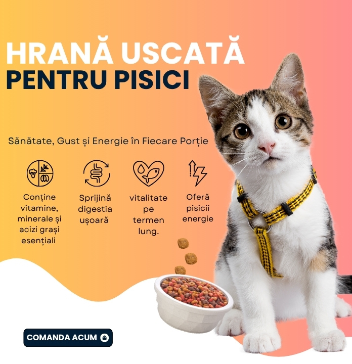 Hrana uscata pentru pisici