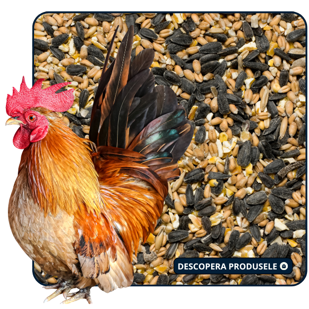 HRANA PASARI DOMESTICE