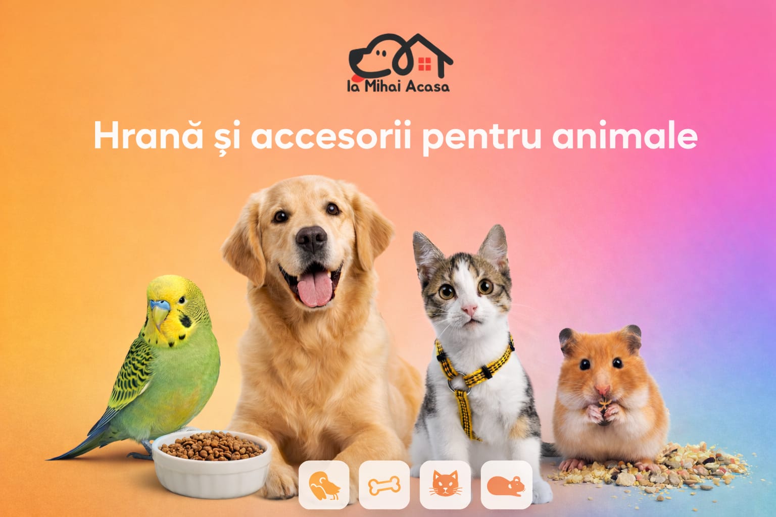 Hrana si accesorii pentru pasari exotice