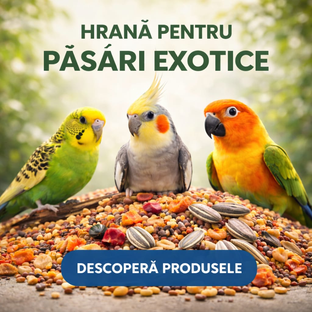HRANA PASARI EXOTICE
