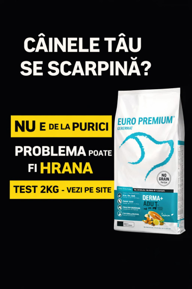 Test gratuit hrana caini