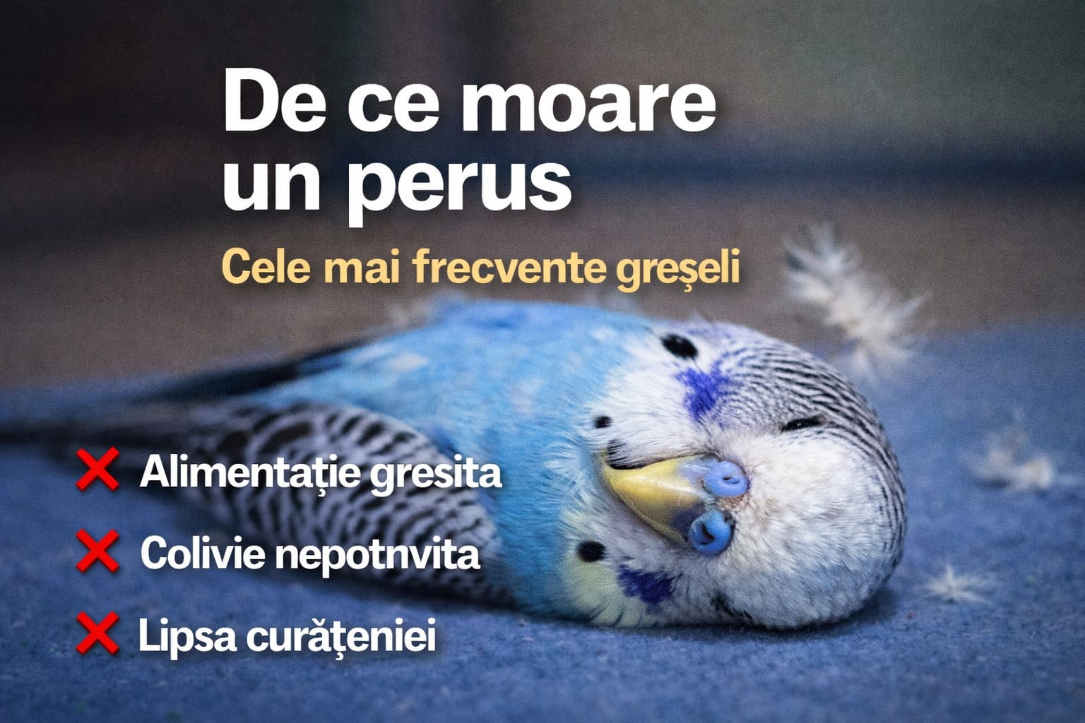 De ce moare un perus