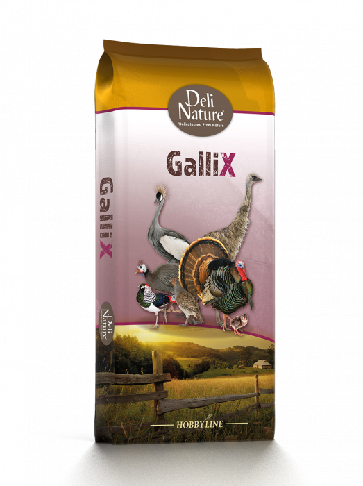GalliX Hrana Starter Crestere Curcani 20 kg [1]