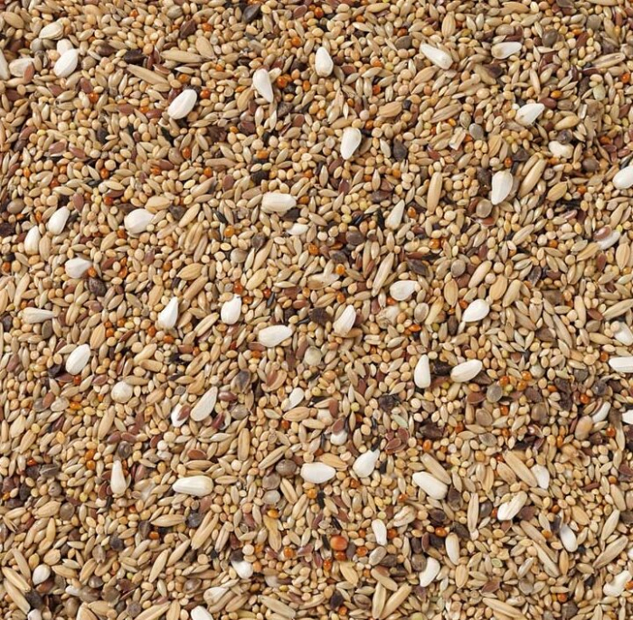 Deli Nature Papagali Mari Fara Floarea Soarelui 20 Kg [2]
