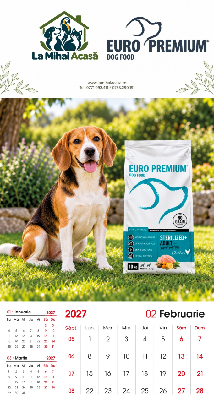 Calendar de perete Euro Premium 2027 [2]