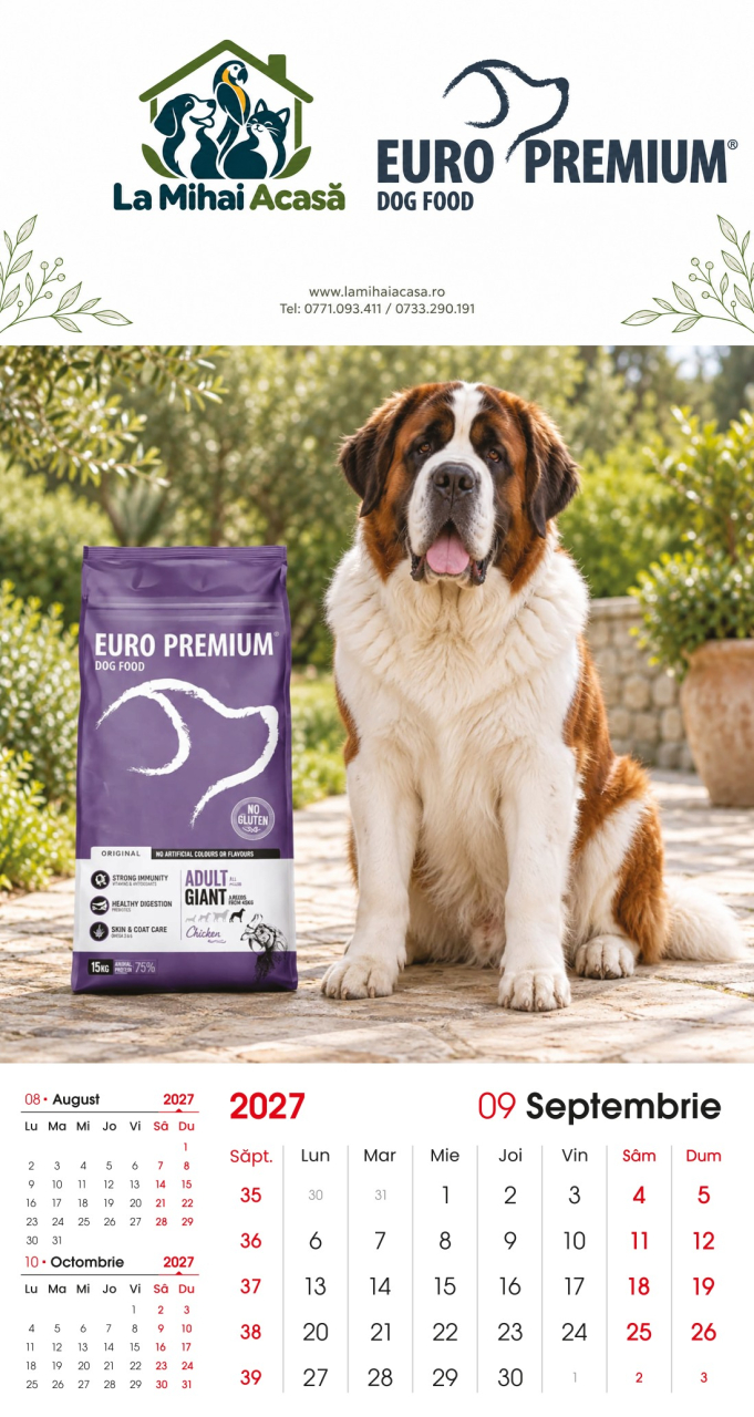 Calendar de perete Euro Premium 2027 [9]