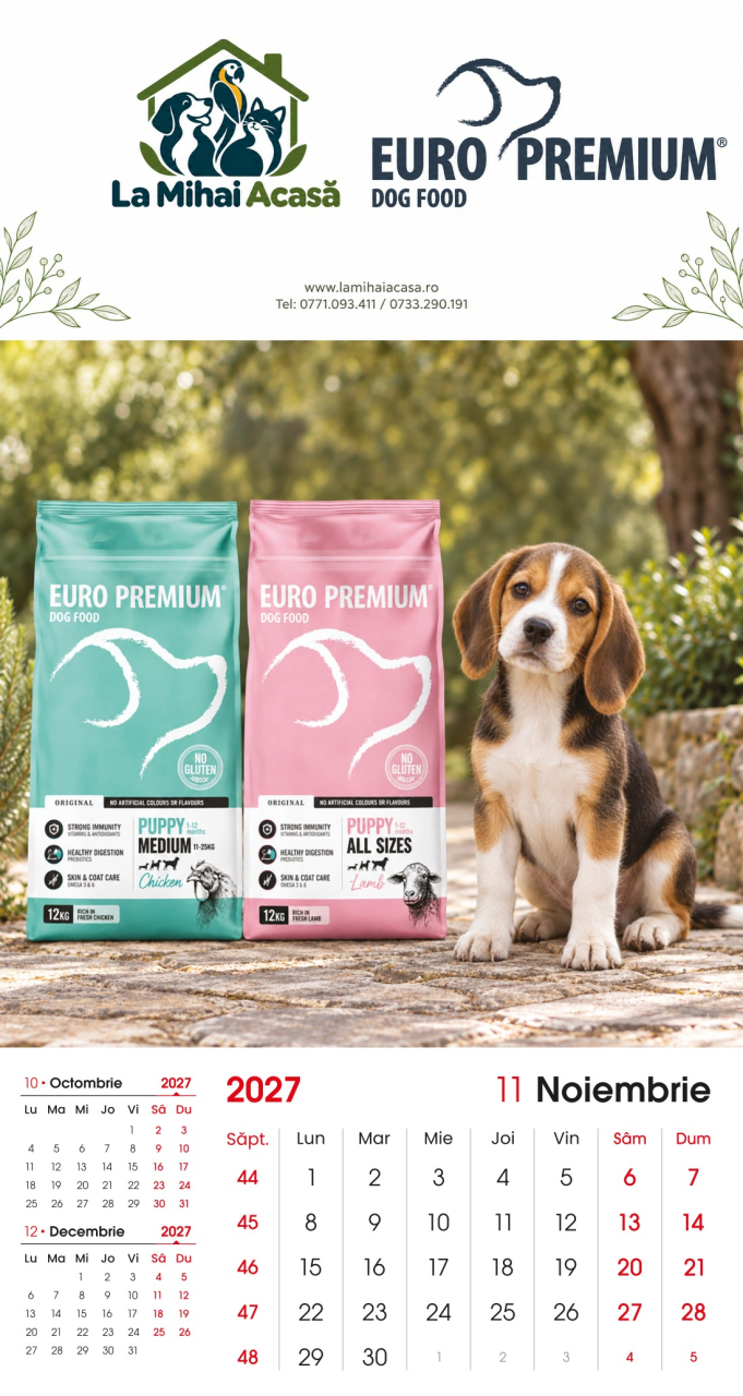 Calendar de perete Euro Premium 2027 [11]
