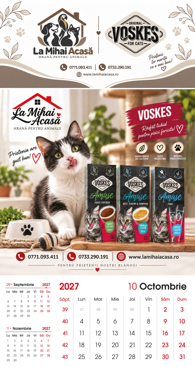Calendar de perete Voskes 2027 [10]