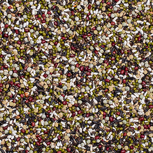 Cinteze & perusi seminte germinate [2]