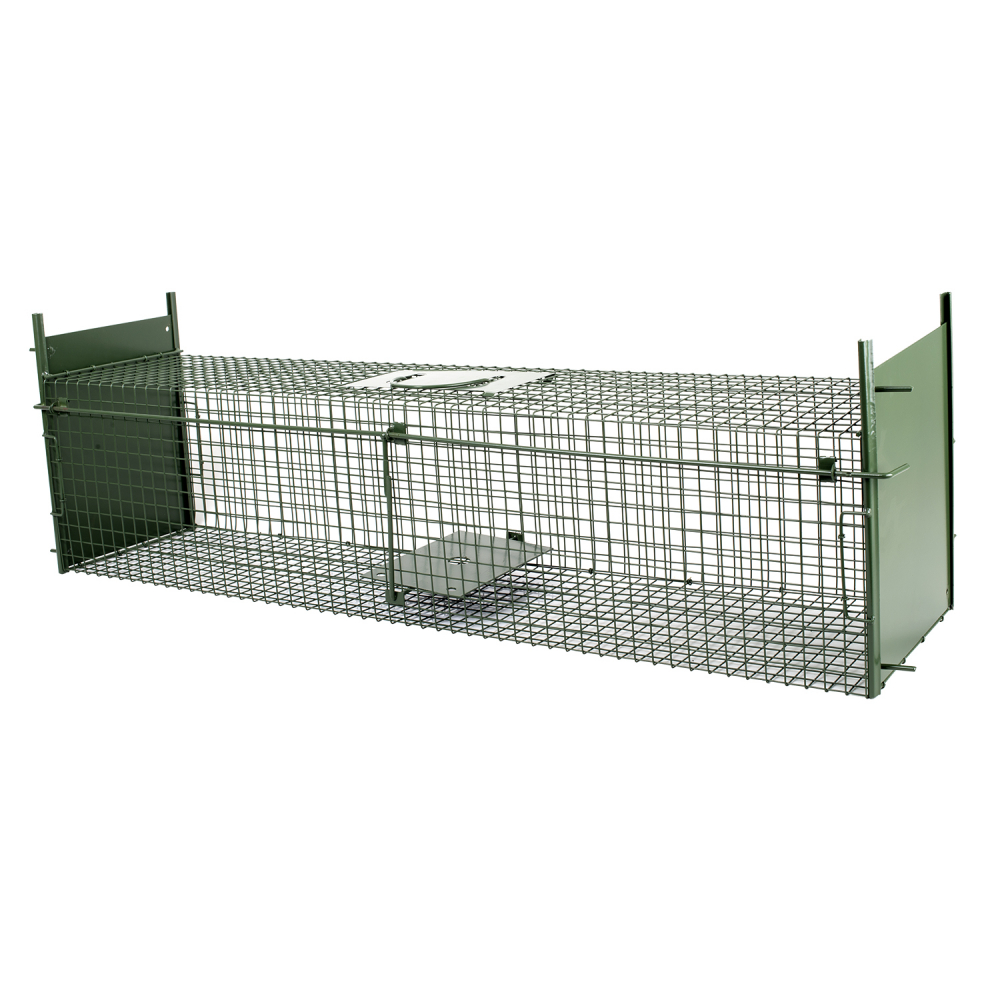 Cursa animale 103 cm [2]