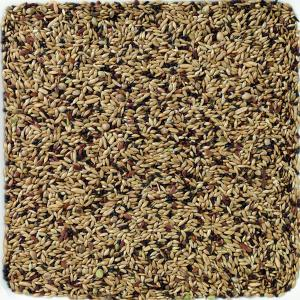 Deli Nature Premium Canari [2]