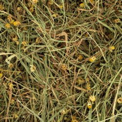 Fân din plante - Margarete și păpădie [2]