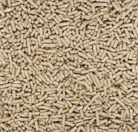 Crestere  pui gaina 20 kg [2]