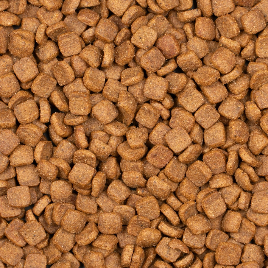 Voskes Adult Sterilized Salmon [2]