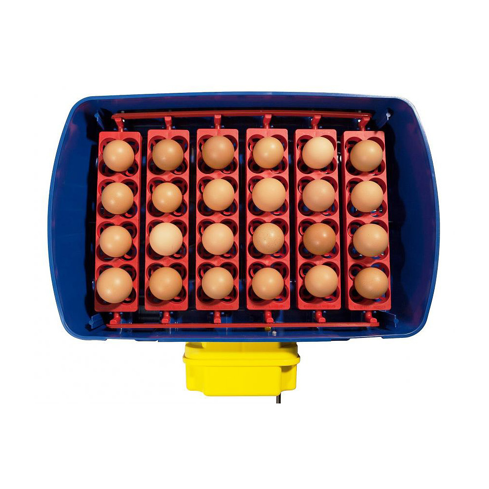 Incubator automat IBREAL [3]