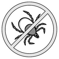 Spray  Flamingo Anti Paraziti Tapiterii 800 ml [4]