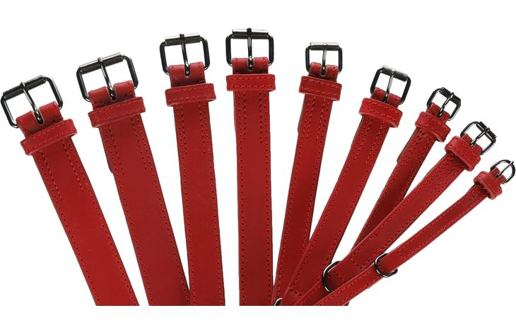 Zgarda rosie Denver S , M 29-35 CM X 20MM X 15 mm - Flamingo [3]