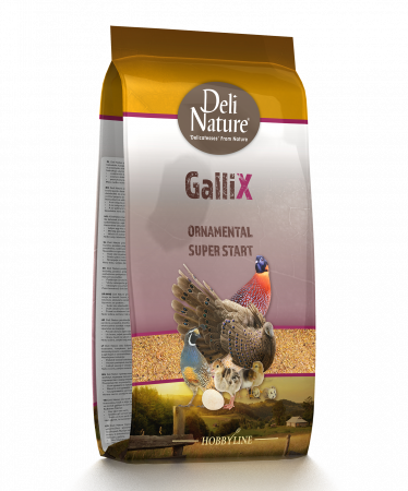 Furaje Animale de Ferma si Păsări  Domestice - GalliX Hrana Pasari Ornamentale Super Start 4 kg