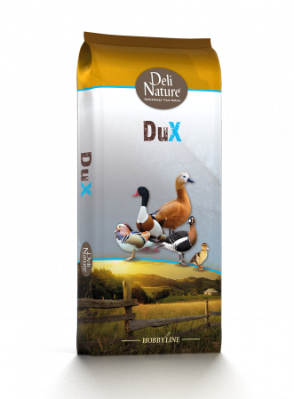 Furaje Animale de Ferma si Păsări  Domestice - Hrana Peleti ouat Rate / Gaste 20 kg