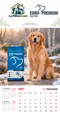 Calendare 2027 - Calendar de perete Euro Premium 2027