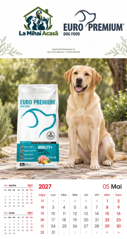 Calendar de perete Euro Premium 2027 [4]