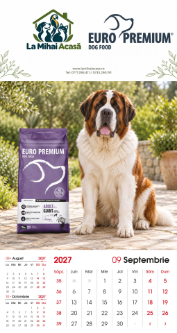 Calendar de perete Euro Premium 2027 [8]