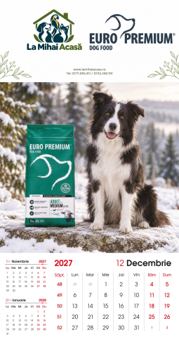 Calendar de perete Euro Premium 2027 [11]