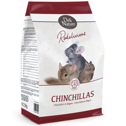 Rozătoare - Chinchilla Rodelicoius