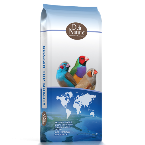 Cinteze - Cinteze tropicale super