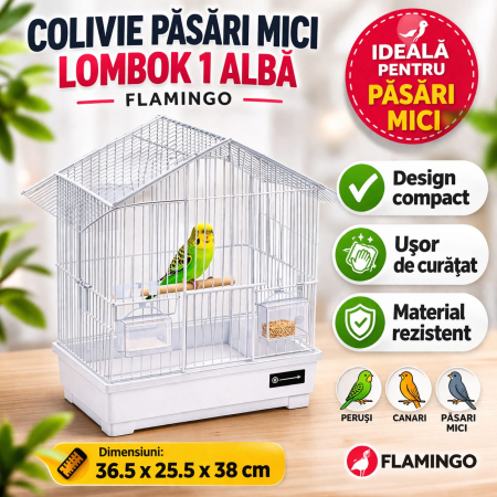 Colivii - Colivie Lombok 1/alba