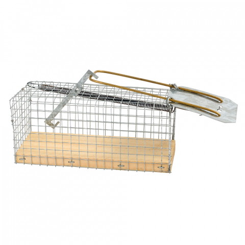 Curse si capcane - Cursa soareci 12*5*5.5 cm