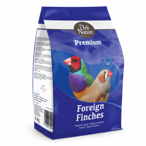 Produse - Cinteze tropicale Premium