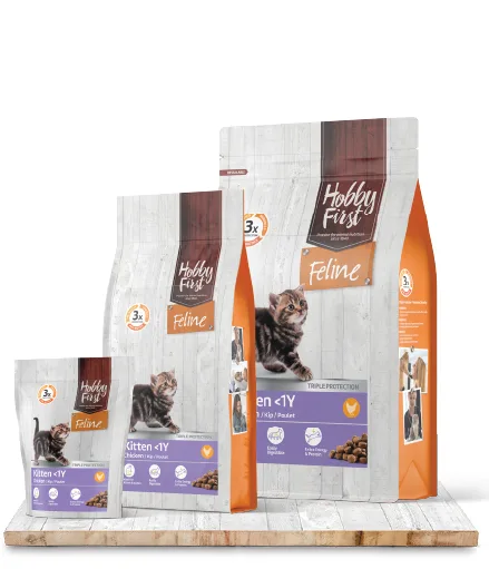 Pisici - HobbyFirst Feline Kitten <1 an