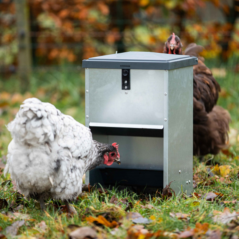 Promotii - Hranitor pentru exterior Antracit 5 KG