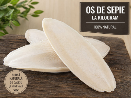 Suplimente pentru pasari - Os de sepie natural pentru păsări, sursă bogată de calciu și minerale.