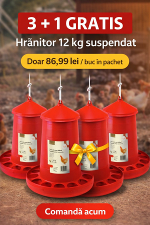 Promotii - hranitor pui 12 kg suspendat set 4 buc 3+1 gratis