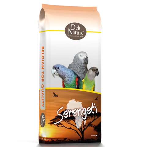 Papagali mari - Papagali Serengeti