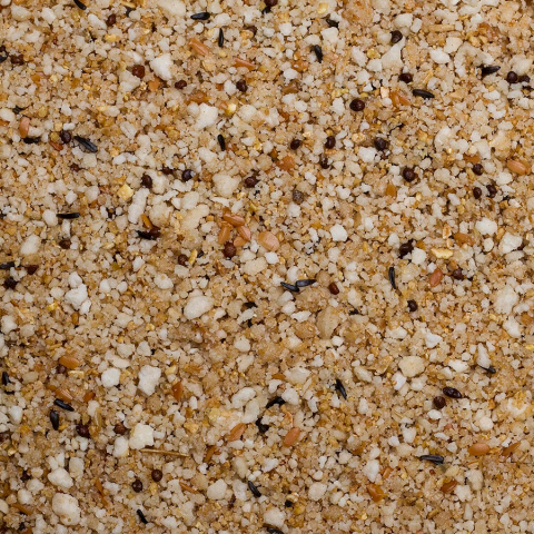 Pate Canari rosii [1]