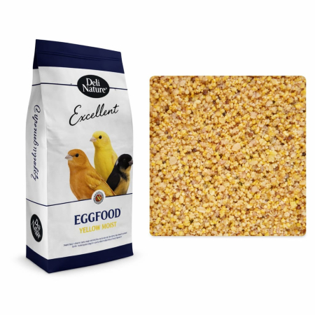 Pate galben umed  cu ou Canari