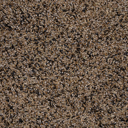 Scatii exclusive [1]